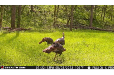 Image of Stealth Cam Fusion-X Pro Cellular Hunting Trail Camera, 36MP, Video &amp; Photo, Camo, STC-FXWT