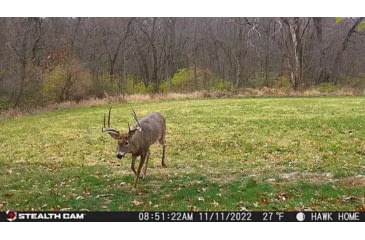 Image of Stealth Cam Fusion-X Pro Cellular Hunting Trail Camera, 36MP, Video &amp; Photo, Camo, STC-FXWT