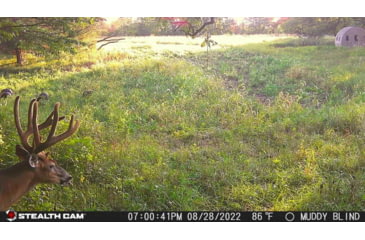 Image of Stealth Cam STC-DCPTR Decepter Camo