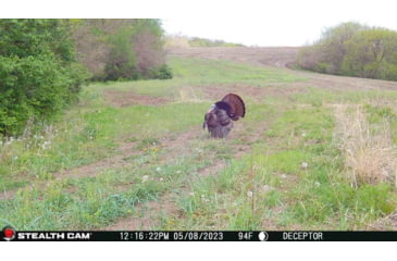 Image of Stealth Cam STC-DCPTR Decepter Camo