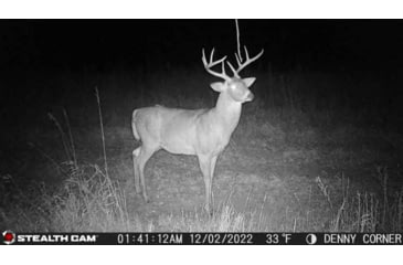 Image of Stealth Cam STC-DCPTR Decepter Camo