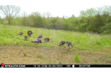 Image of Stealth Cam STC-DCPTR Decepter Camo