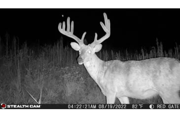 Image of Stealth Cam STC-DCPTR Decepter Camo