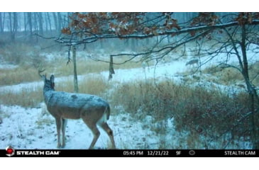 Image of Stealth Cam STC-DCPTR Decepter Camo