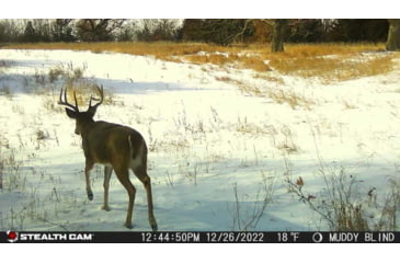 Image of Stealth Cam STC-DCPTR Decepter Camo