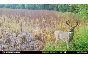 Image of Stealth Cam STC-DCPTR Decepter Camo