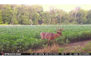 Image of Stealth Cam STC-DCPTR Decepter Camo