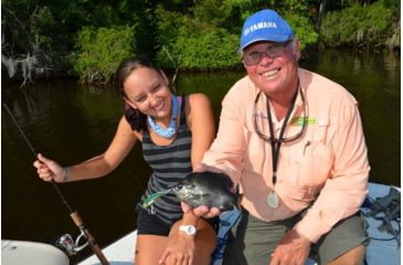 Image of SteelShad 3/8 oz Blade Bait, Perch/Firetiger, SSL-10004