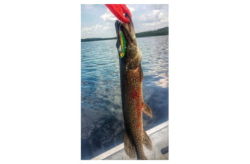 Image of SteelShad 3/8 oz Blade Bait, Perch/Firetiger, SSL-10004