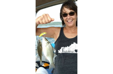 Image of SteelShad 3/8 oz Blade Bait, Yellow Shad, SSL-10067