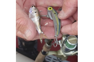 Image of SteelShad Mini, 2 Pack, 1/4 Oz, Sexy Shad, SSL-10077