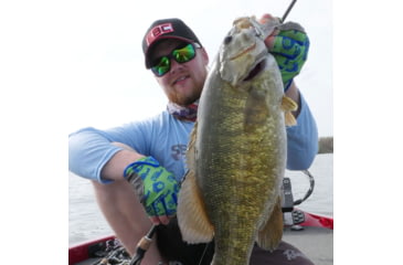 Image of SteelShad Mini, 2 Pack, 1/4 Oz, Sexy Shad, SSL-10077