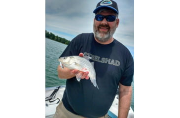 Image of SteelShad Mini, 2 Pack, 1/4 Oz, Silver/Chrome, SSL-10075