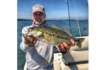 Image of SteelShad XL Bait, 3/4 Oz, Perch / Firetiger, SSL-10015