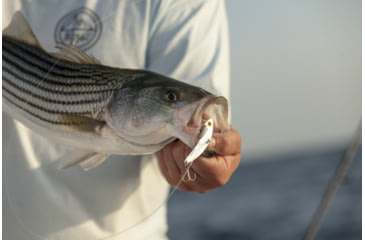 Image of SteelShad XL Bait, 3/4 Oz, Silver/Chrome, SSL-10012