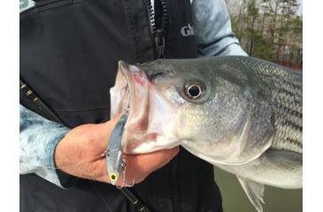 Image of SteelShad XL Bait, 3/4 Oz, Silver/Chrome, SSL-10012