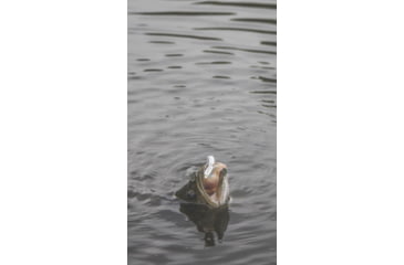 Image of SteelShad XL Bait, 3/4 Oz, White Shad, SSL-10063