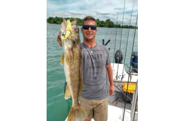 Image of SteelShad XL Bait, 3/4 Oz, Yellow Shad, SSL-10068