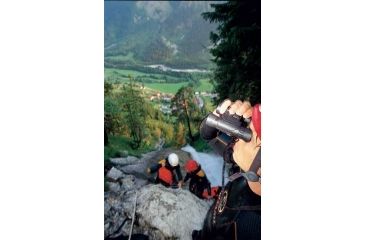 Image of Steiner 10.5x28 Wild-Life Pro