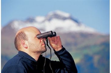 Image of Steiner 10.5 x 28 Wildlife Pro Binoculars
