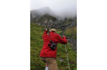 Image of Steiner 10x44 Wildlife XP Binoculars, 10x44 2303