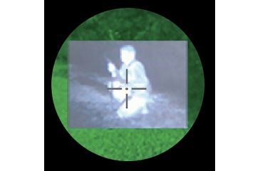 Image of Steiner Conformal Heads-Up Display, 9241
