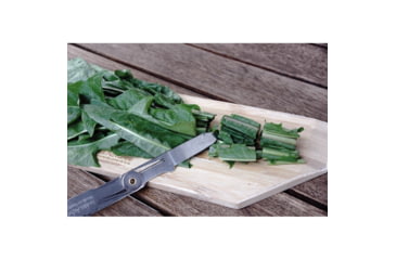 Image of Swiss Advance CRONO N5 Multi Tool