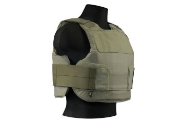 Image of Fugitive Armor Carrier, Ranger Green, Small