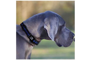 Image of Thin Blue Line Dog Collar, Thin Blue Line - TBL-BB-CR-LARGE