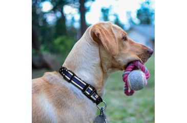 Image of Thin Blue Line Stars &amp; Stripes Collar, Thin Blue Line - TBL-AM-CR-SMALL