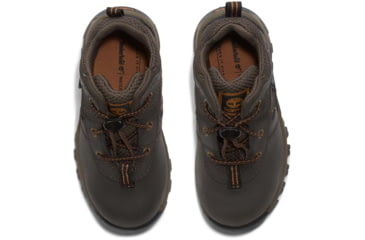 Image of Timberland Mt. Maddsen Boot - Mens, Dark Brown, 10.5, Medium, TB1A14IX24210500M