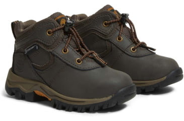 Image of Timberland Mt. Maddsen Boot - Mens, Dark Brown, 10.5, Medium, TB1A14IX24210500M