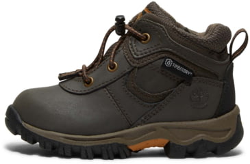 Image of Timberland Mt. Maddsen Boot - Mens, Dark Brown, 10.5, Medium, TB1A14IX24210500M