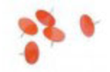 Image of Trophy Treestands Reflective Tacks, Orange, TA935