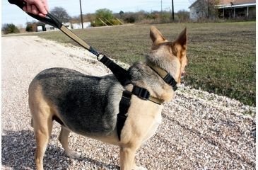 Image of United States Tactical Dog Harness, Black, Medium UST-K9H00101M