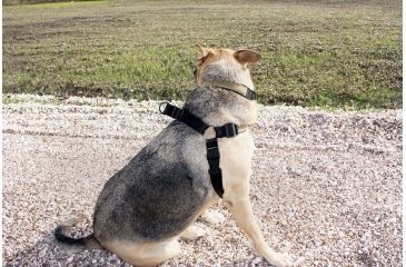 Image of United States Tactical Dog Harness, Black, Medium UST-K9H00101M