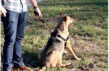 Image of United States Tactical K9 Harness, Black, Medium, UST-K9H00101M