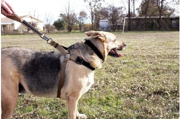 Image of United States Tactical Dog Harness, Coyote, Medium UST-K9H00102M