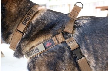 Image of United States Tactical Dog Harness, Coyote, Medium UST-K9H00102M