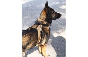 Image of United States Tactical Dog Harness, Coyote, Medium UST-K9H00102M