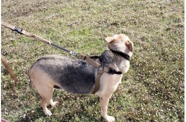 Image of United States Tactical Dog Harness, Coyote, Medium UST-K9H00102M
