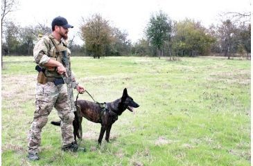 Image of United States Tactical Dog Harness, Olive Drab, Medium UST-K9H00103M