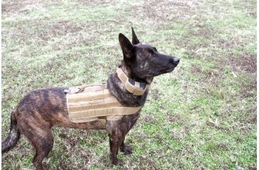 Image of United States Tactical Dog Receiver Collar, Coyote, Medium UST-K9C00202M