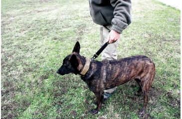 Image of United States Tactical Dog Receiver Collar, Coyote, Medium UST-K9C00202M