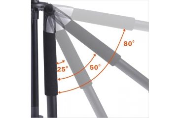 Image of Vanguard Alta+ 255CT Carbon Fiber Tripod