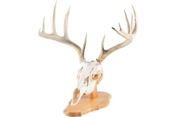 Image of Walnut Hollow Euro Mount Kit 1302350