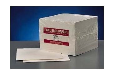 Image of Whatman Gel Blotting Papers, Whatman 10427813 Grade GB003 Blotting Sheets