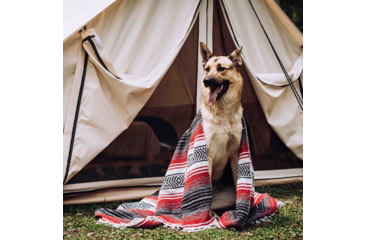 Image of White Duck Avalon Bell Tent, Water Repellent, 16.5ft, WD-0022
