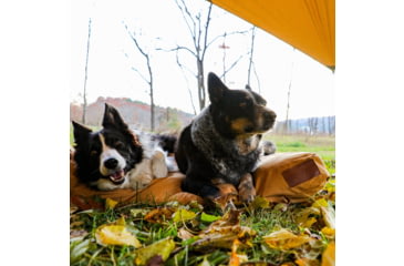 Image of White Duck Sunshade Tarp 330 w/ Poles, 13ft x 13ft/4 x 4 m, SS-4x4-WR