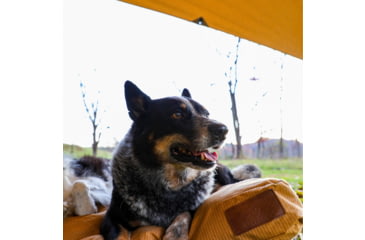 Image of White Duck Sunshade Tarp 330 w/ Poles, 13ft x 13ft/4 x 4 m, SS-4x4-WR